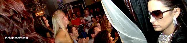 fashion rock at tess' lark tavern albany