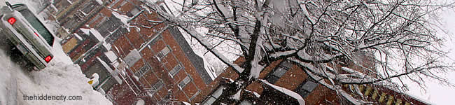 snowstorm aftermath in albany