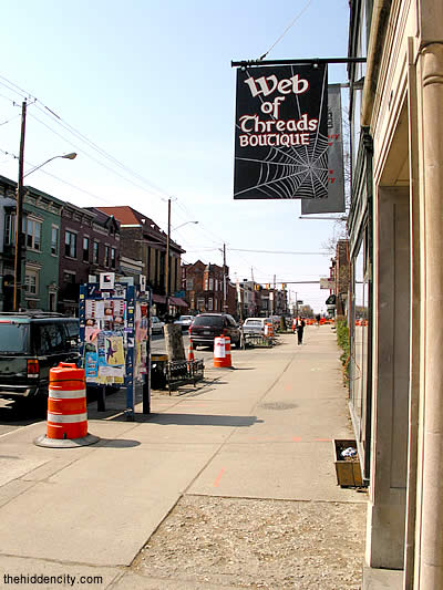 lark street