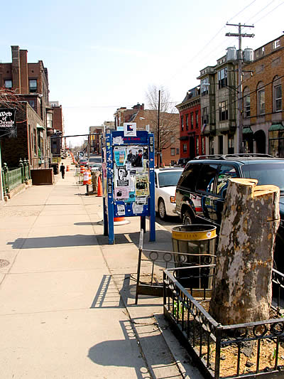 lark street